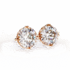 Earring Rose Gold - E0013