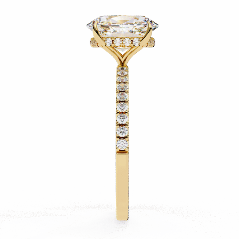 Cad 004 17.png