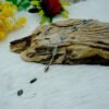 Natural Genuine Fire Labradorite Bracelet in 925 Sterling Silver Natural Gemstone Anniversary Gift Bracelet BR0079-GS
